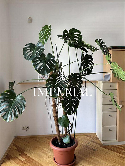 Оренда Квартира 3-кімнатна, 3/5 поверх на вул. Берестейський Київ - фото 15