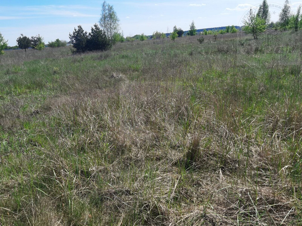 Продаж земельної ділянки 9 соток на Космічна вул., 4 Blystavytsia - photo 5