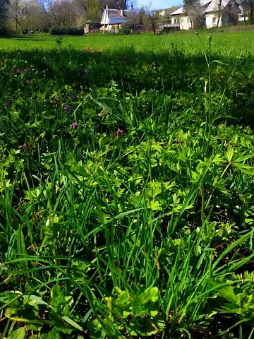 For sale land plot  area 18 ares Івана Франка бічна вулиця  - photo 6