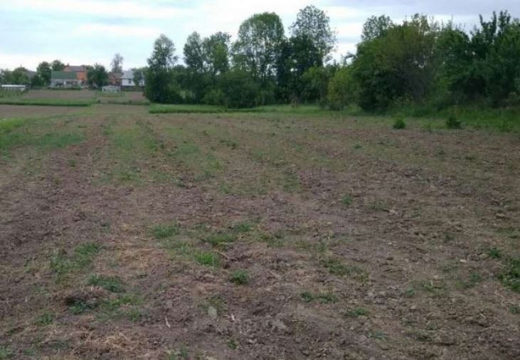 Продаж земельної ділянки 5 соток на ул. Сабелия 2-я линия курортного квартала, 34 Нерубайське - фото 1