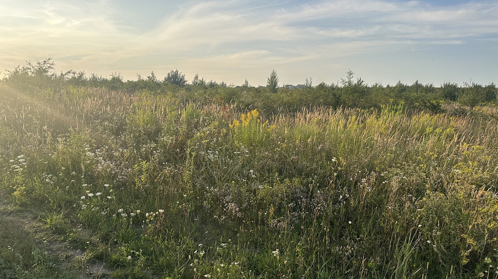 Продаж земельної ділянки 10 соток Baikivtsi - photo 5