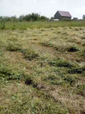 Продаж земельної ділянки 0.1 соток на улица Независимости, 10 Санжійка