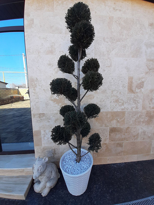 Дом в 15 минутах от Одессы, рядом Усатово, Слободка Нерубайське - фото 20