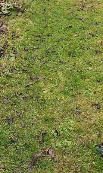 Продаж земельної ділянки 12 соток Кулібаба - фото 2