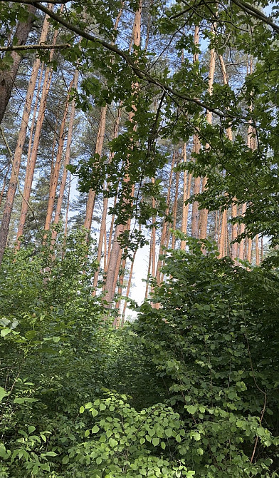 Продаж земельної ділянки 12 соток на Гуйва Житомир - фото 2