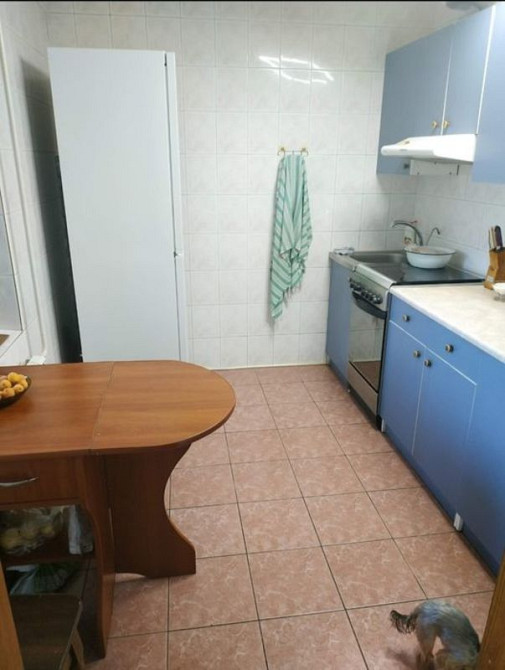 Оренда Квартира 1-кімнатна на ул. Маршала Рыбалко, 4 Київ - фото 5