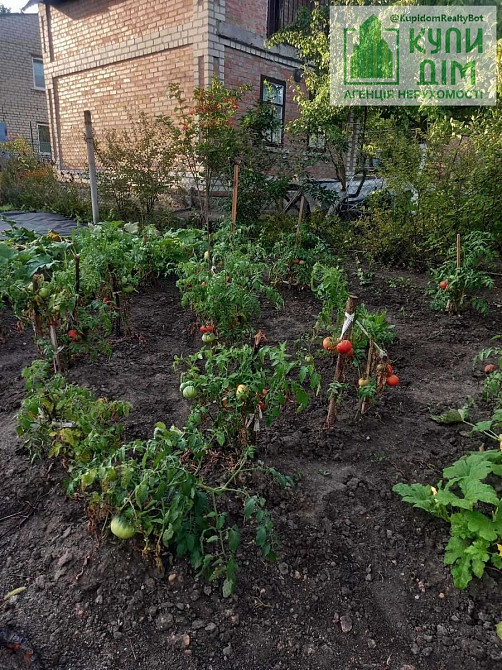 Дача в кооперативі «Ятрань» Кропивницький - фото 11