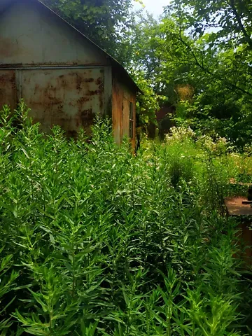 For sale 2-storey   80 sq.m 4 rooms at Дачна вулиця 106  - photo 18