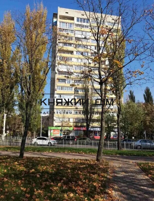 Оренда Квартира 1-кімнатна, 9/16 поверх на Русановская Набережная Киев - изображение 5