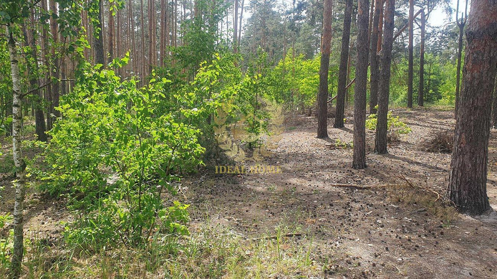 Продаж земельної ділянки 3.9 соток на Луговая ул., 30 Ирпень - изображение 12