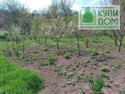 Продаж земельної ділянки 33 соток Кропивницький - фото 8