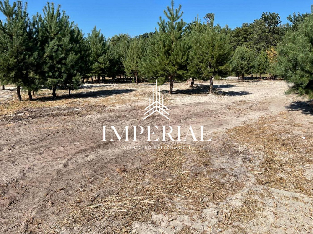 Продаж земельної ділянки 22 соток Нови Безрадичи - изображение 8