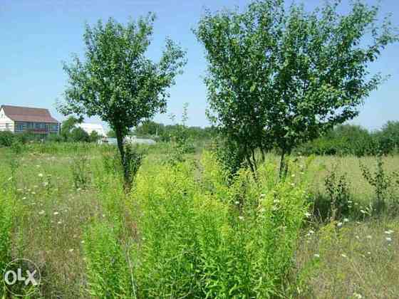 Продаж 2-поверховий Будинок з ділянкою 35 сот 286 кв.м   Городище (Іванківський район)