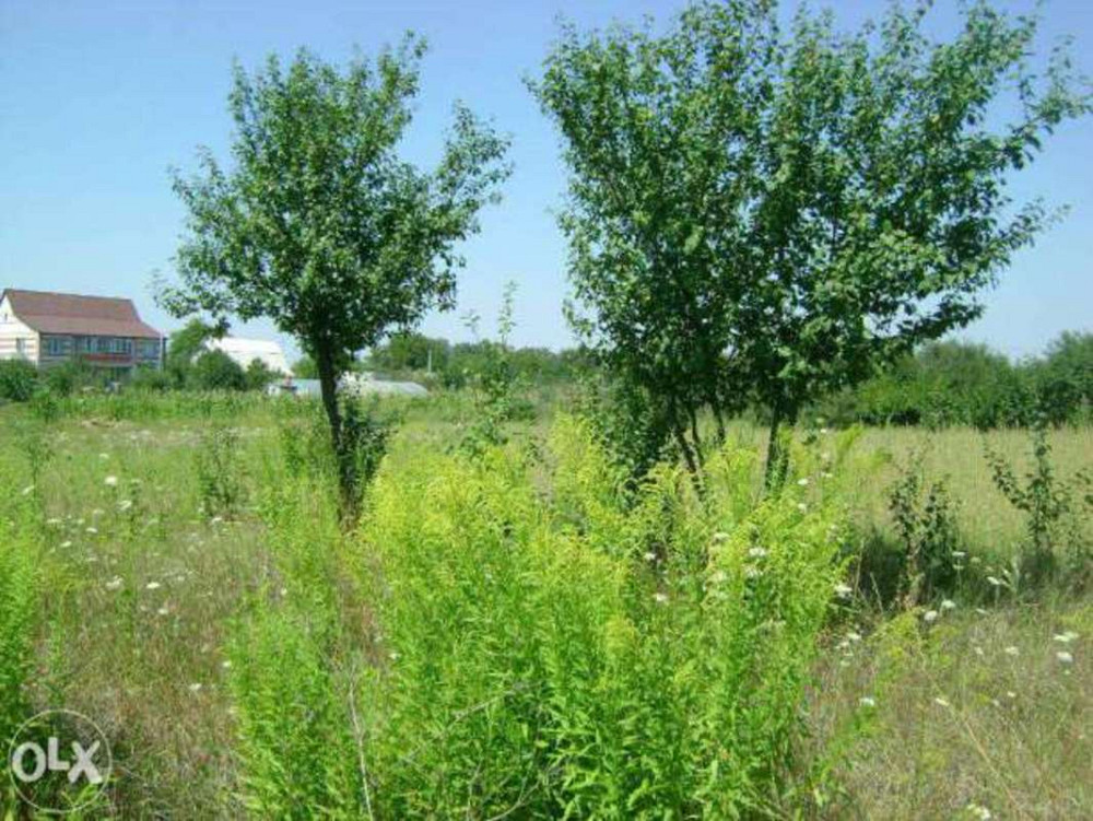 Продаж 2-поверховий Будинок з ділянкою 35 сот 286 кв.м   Городище (Іванківський район) - фото 3