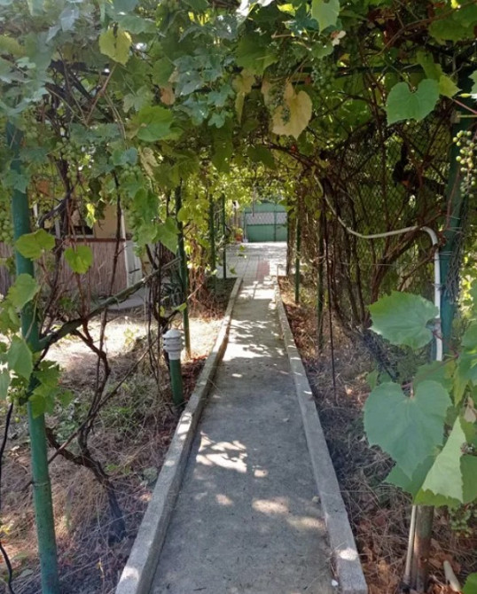 Продаж Будинок 4-кімнатний на ул. Берлинская, СТ Гидравлик-2, 3565 Кордон - фото 5