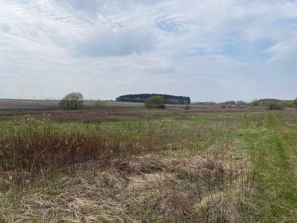 Продаж земельної ділянки 14 соток на мельника вячеслава  - изображение 8