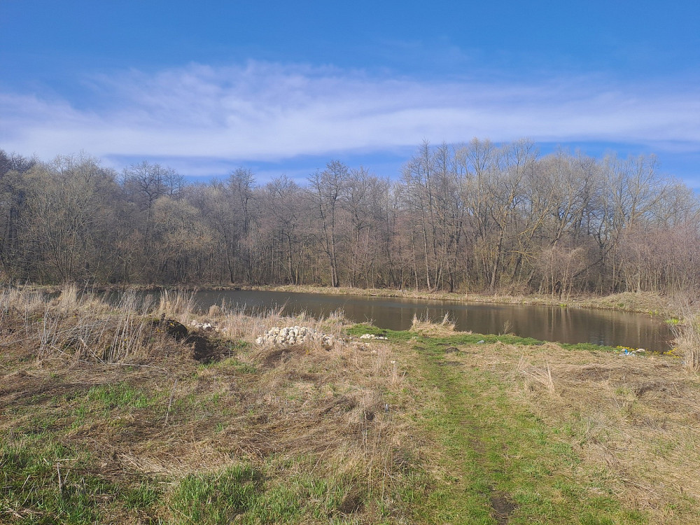 Продаж 2 поверхового будинку з ділянкою на 20 соток, 280 кв. м, Байківці Байківці - фото 10