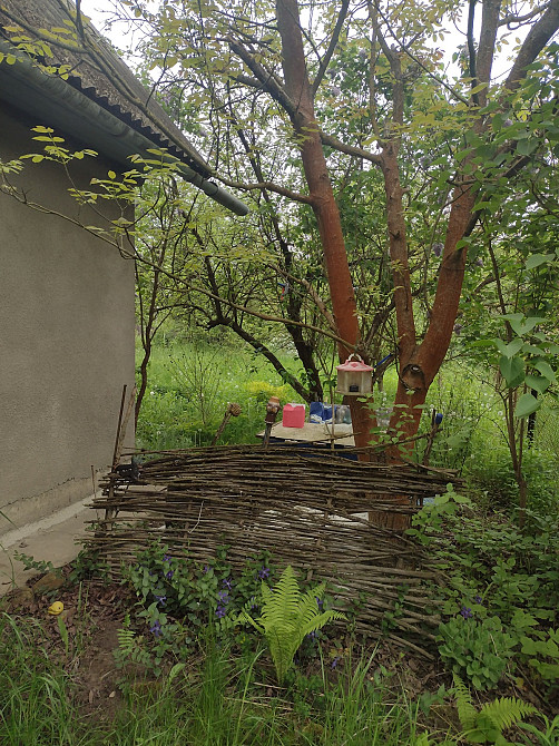 Продаж Будинок на Квіткова  - фото 17