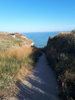 Продаж земельної ділянки 0.1 соток на улица Лазурная, 30 Санжійка - фото 3