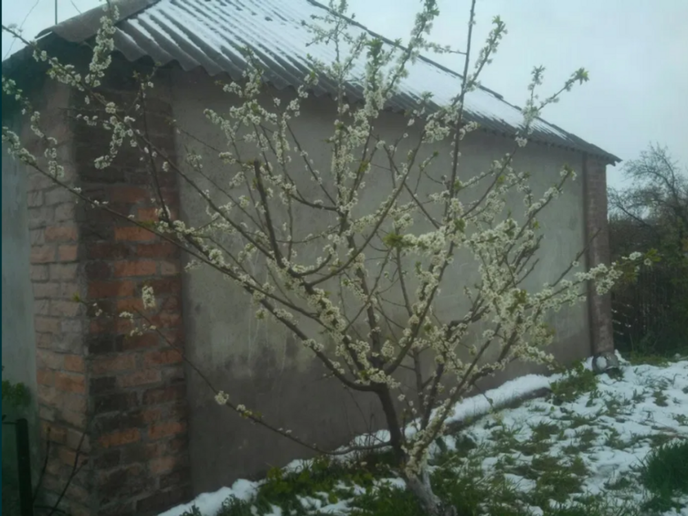 Продаж торгове приміщення поверх - 1/1 Черняхівка - фото 4