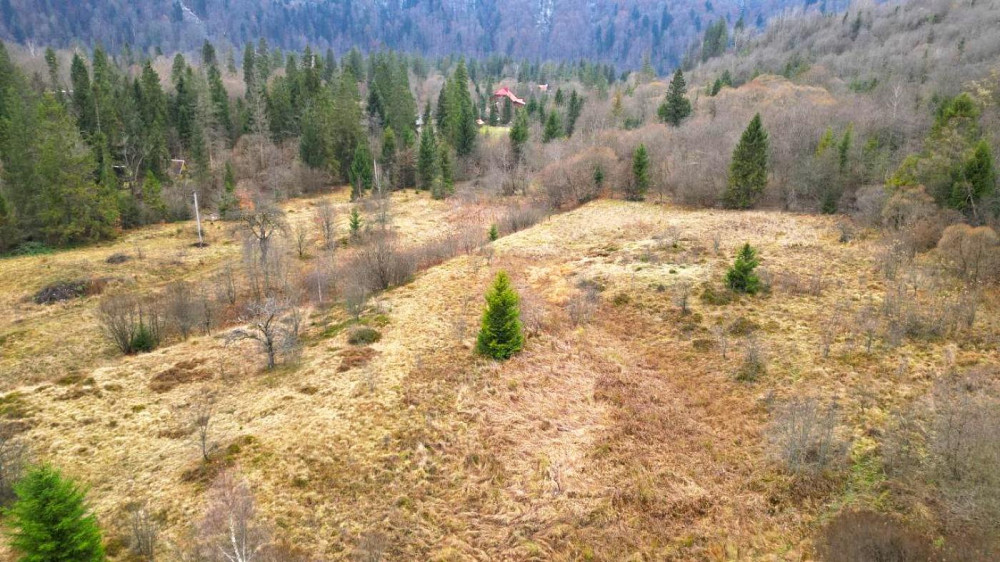 Продаж земельної ділянки 22.6 соток Гребенів - фото 10