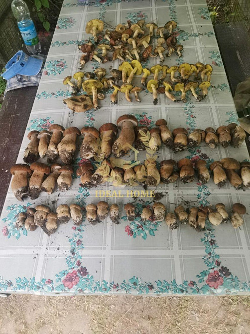 Продам дачу біля села Гвоздів Гвоздов - изображение 17