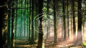 Продаж Квартира 3-кімнатна, 4/5 поверх на Широка, 22 Брюховичі (Перемишлянський район) - фото 12