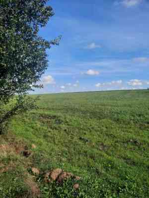 Продаж земельної ділянки 0 соток на ул. Массив 828, 7 Іллінка