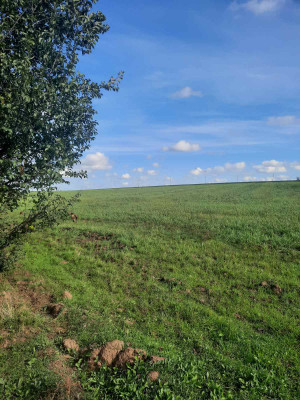 Продаж земельної ділянки 0.75 соток на ул. Массив 828, 7 Іллінка - фото 4