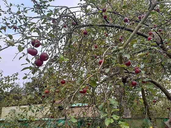 Продаж Будинок Сосонка