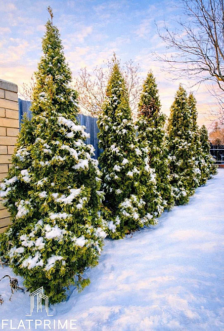 Продаж Будинок 6-кімнатний на Садова вул., д. 141 Pidhirtsi - photo 5