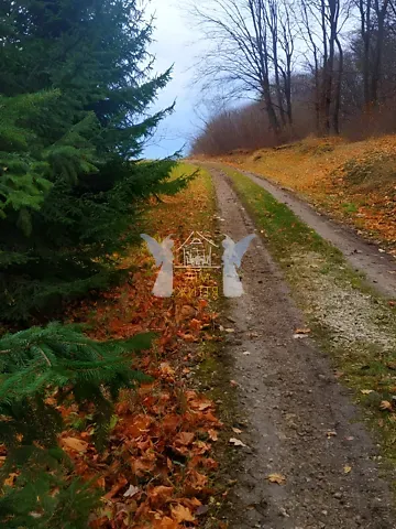 Продажа земельного участка  площадь 43 сот Лісова вулиця 1  - изображение 2