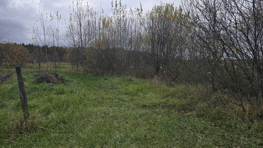 Продаж земельної ділянки 16.78 соток на Євгенгії Мачерет Ивановка (Баранивський район) - изображение 7