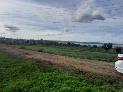 Продаж земельної ділянки 1 соток на ул. Массив, 1 Іллінка - фото 1