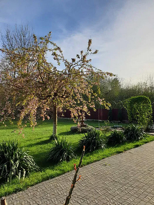 Продаж Будинок 7-кімнатний на вул. Білозіра Рудне - фото 13