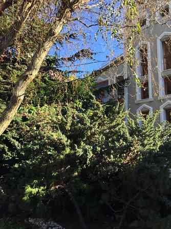 Продаж земельної ділянки 0.1 соток на переулок Зоряний, 6 Нерубайське