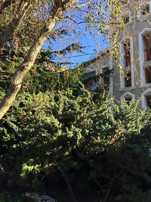 Продаж земельної ділянки 0.1 соток на переулок Зоряний, 6 Нерубайське - фото 1