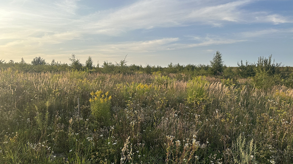 Продаж земельної ділянки 10 соток Baikivtsi - photo 8