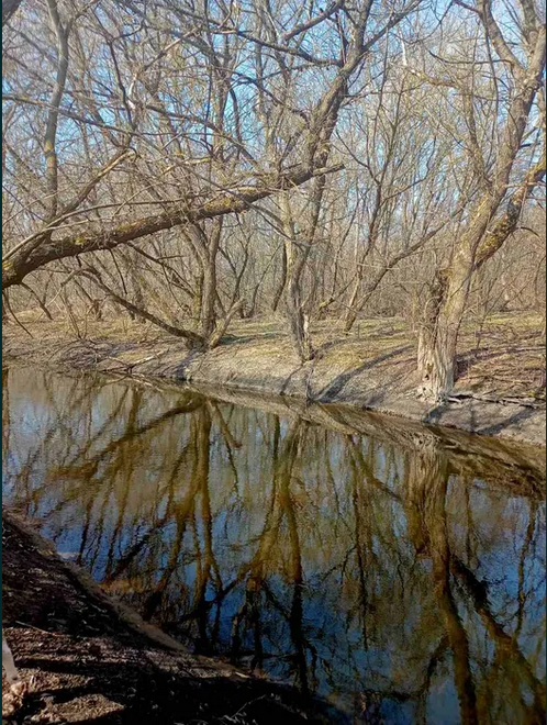 Продам Будинок село Калинівка Кропивницький - фото 1