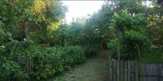 Продаж 1-поверховий Будинок з ділянкою 95 сот 75 кв.м 3 кімн. на С.Бабушки Чуднівський р-н Житомир