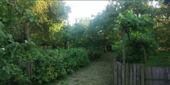 Продаж 1-поверховий Будинок з ділянкою 95 сот 75 кв.м 3 кімн. на С.Бабушки Чуднівський р-н Житомир - фото 1