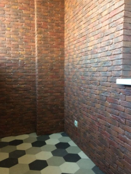 Оренда Квартира 1-кімнатна, 26/26 поверх на Соломії Крушельницької, 15 Київ - фото 9