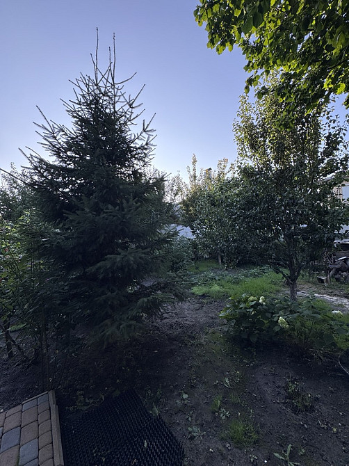 Продаж 1-поверховий Будинок з ділянкою 7 сот 88 кв.м 4 кімн. на Б.Тена (одноповерховий) Житомир - фото 3