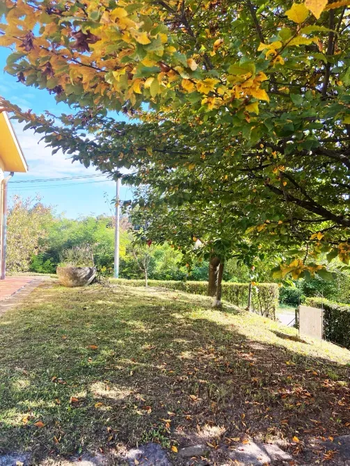 For sale 3-storey House with land 13 ares 180 sq.m 5 rooms at Via Eligio Porcu Venice - photo 16