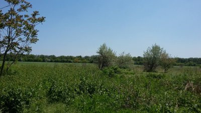 Продаж земельної ділянки 0.1 соток на ул. Дачная, 6а Велика Балка - фото 1