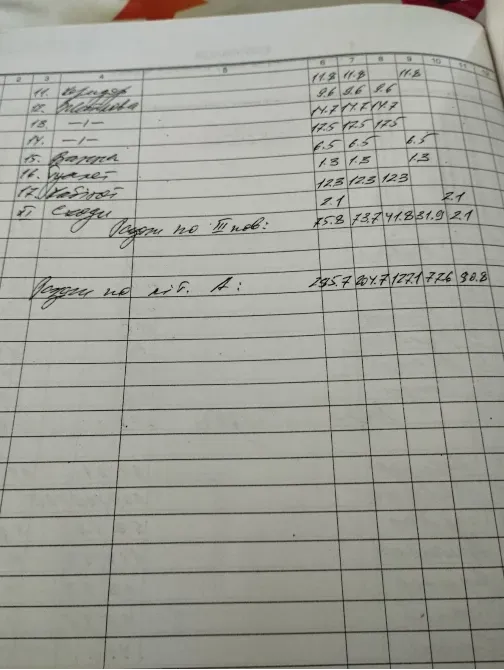 Продаж 3-поверховий Будинок з ділянкою 6 сот 295 кв.м 7+ кімн. на Рилєєва Ужгород - фото 20