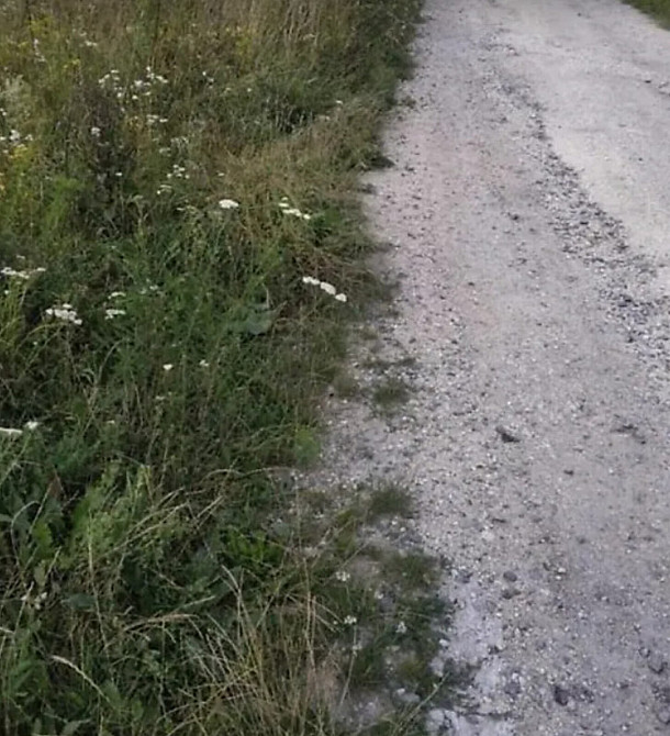 Продаж земельної ділянки 16 соток Байківці - фото 4