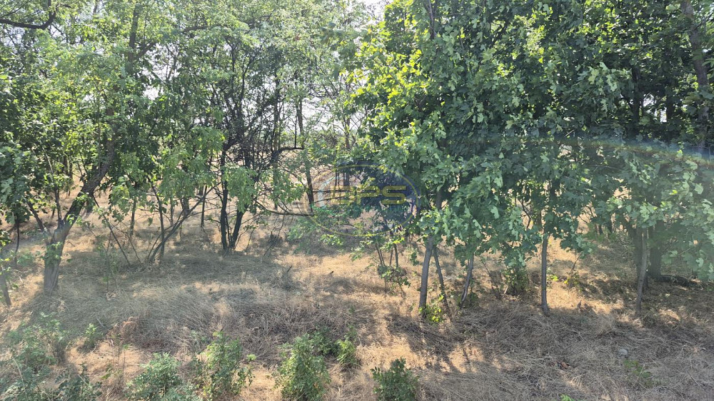 Продаж земельної ділянки 2.8 га на вул. масив 20, ділянка 296/2 Нерубайське - фото 9