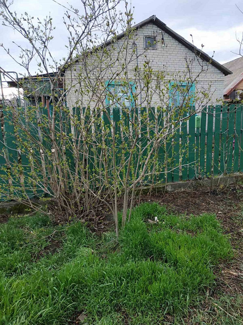 Дом в Малой долине (Ильичевск) Малодолинське - фото 1