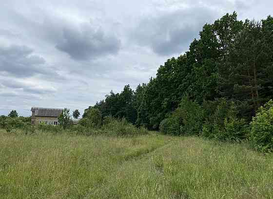 Продаж земельної ділянки 10 соток на Давидівка Житомир